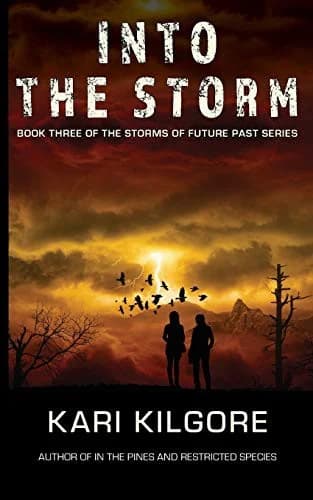 Cover of Into the Storm
